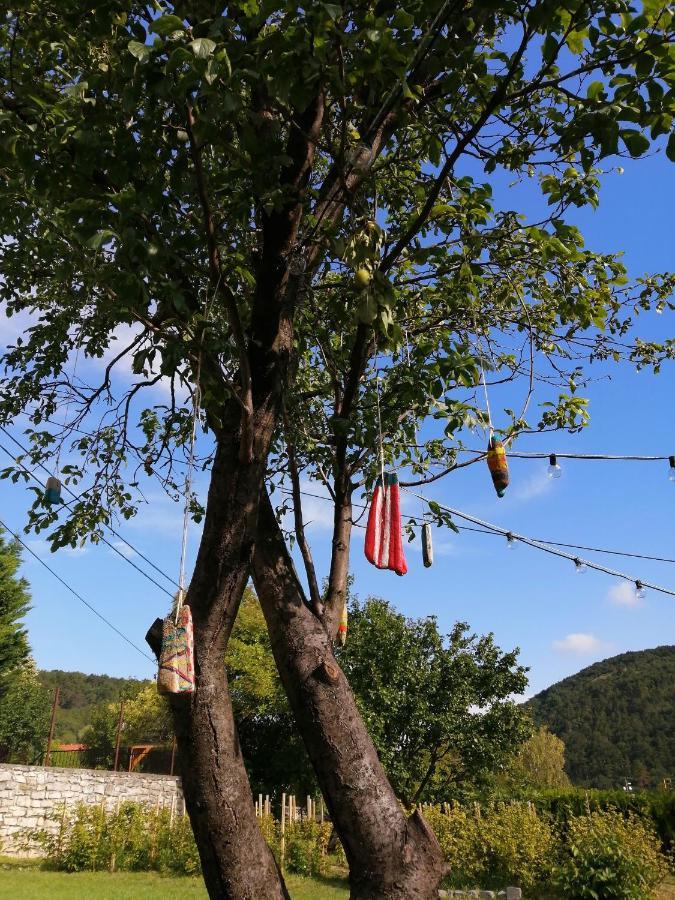 Aracsi Vendeghaz Hotel Balatonfüred Eksteriør billede