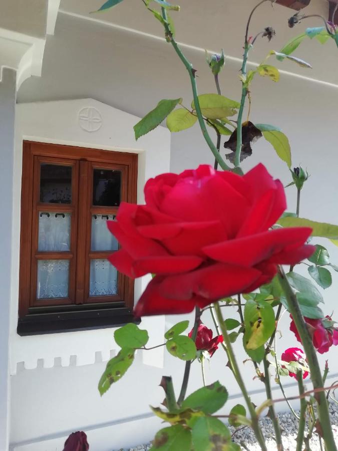 Aracsi Vendeghaz Hotel Balatonfüred Eksteriør billede